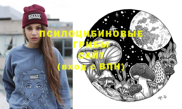mdpv Надым