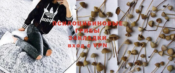 спиды Кстово