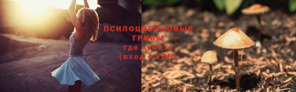mdpv Надым