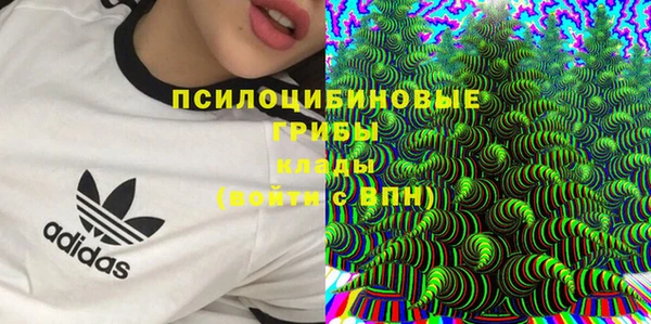 стаф Наволоки
