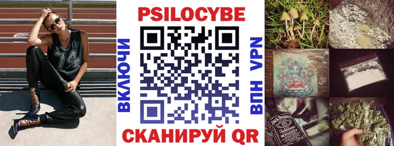 Купить закладки  Каргат  Галлюциногенные грибы Cubensis 